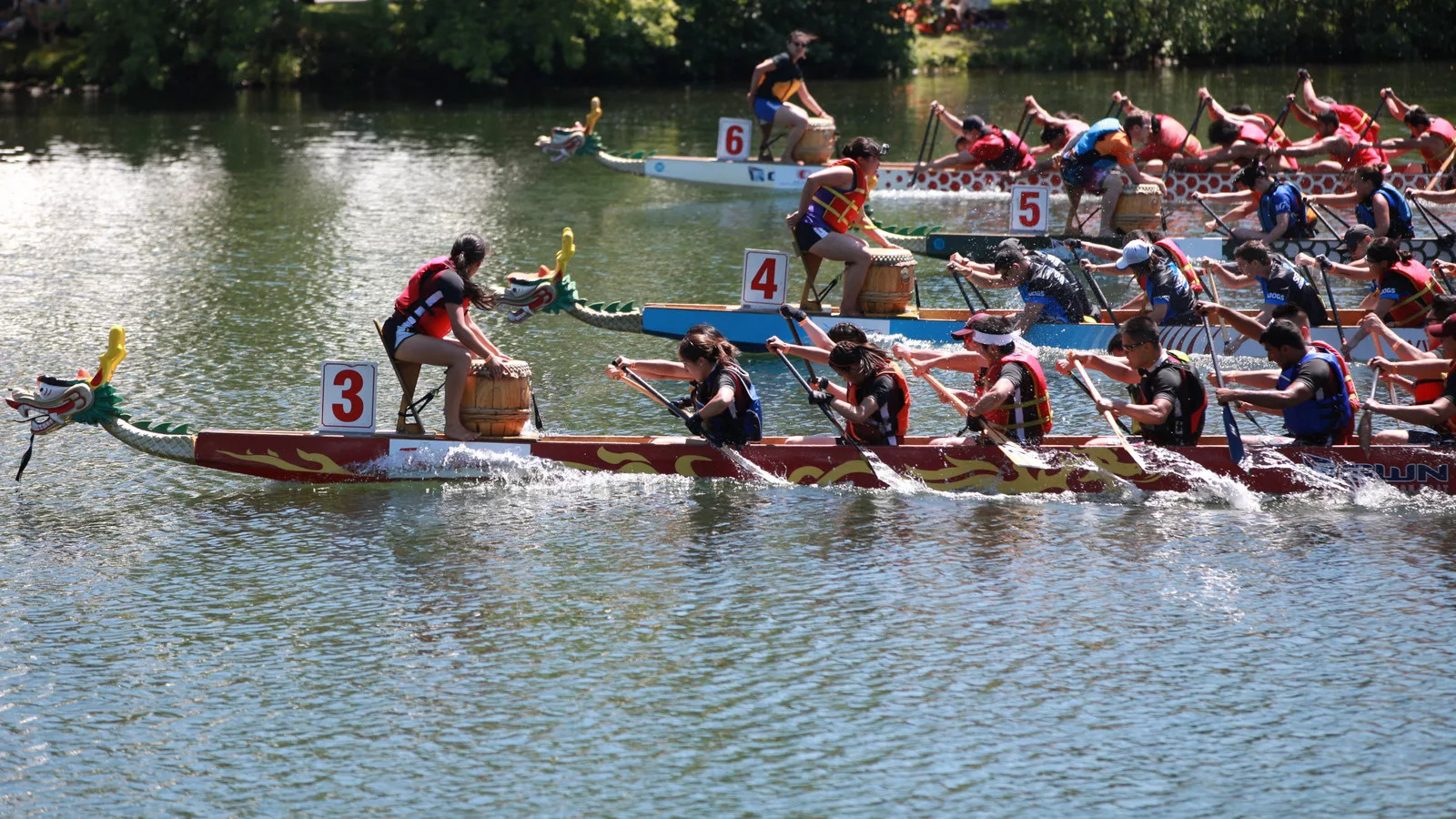 Дракон Swift Racing 10 местный Dragon Boat — изображение 4